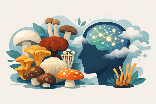 7 Best Mushrooms for Brain Fog