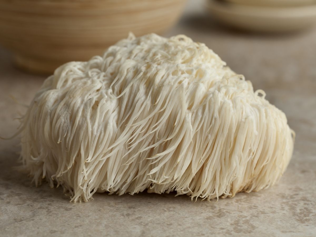 Lions Mane mushroom on a table