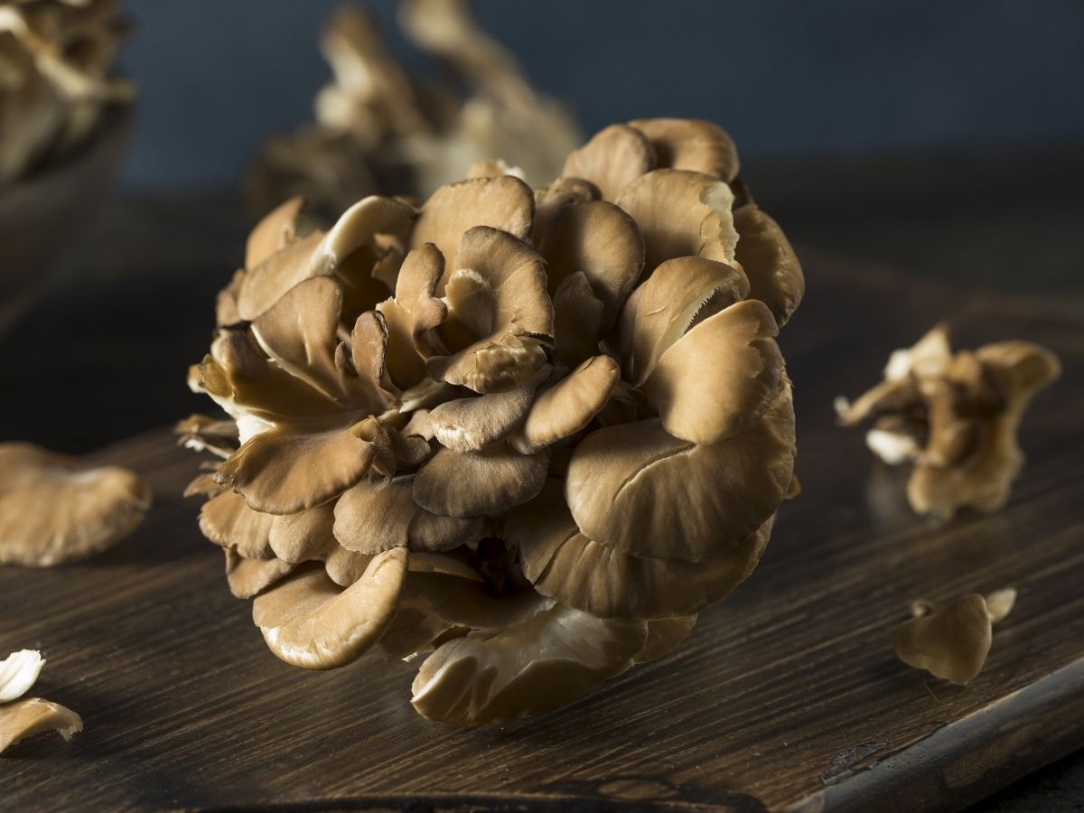 Maitake mushrooms on a table