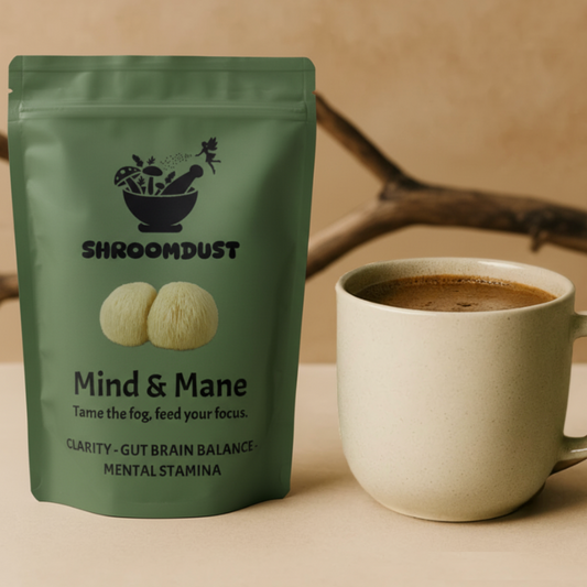 Mind & Mane - Tame the Fog & Feed your Focus