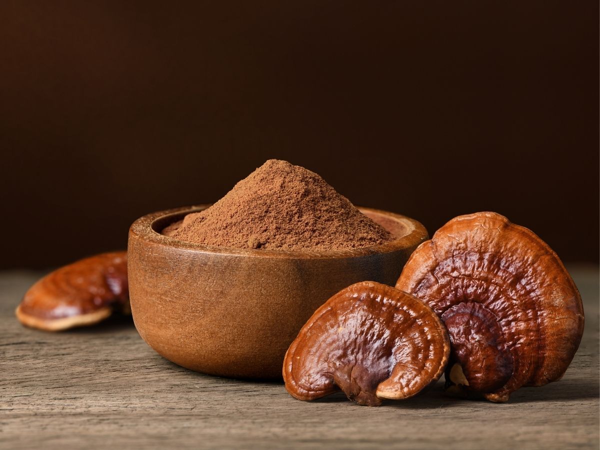 Reishi mushrooms and powder on a table