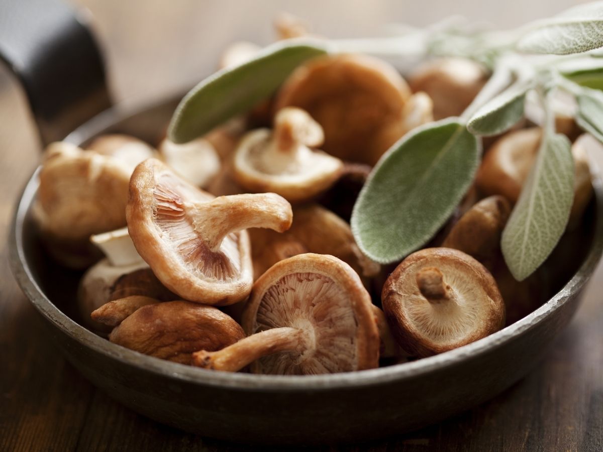 Shiitake mushrooms in a bowl